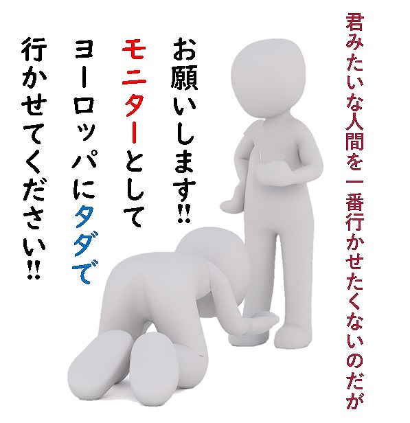 ヨーロッパ モニター 無料 合格