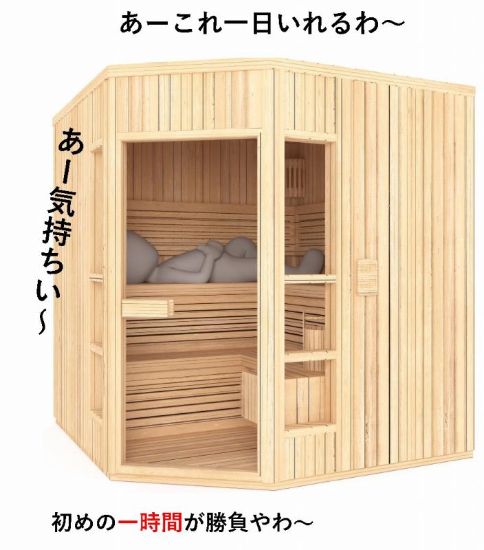 フィンランド サウナ