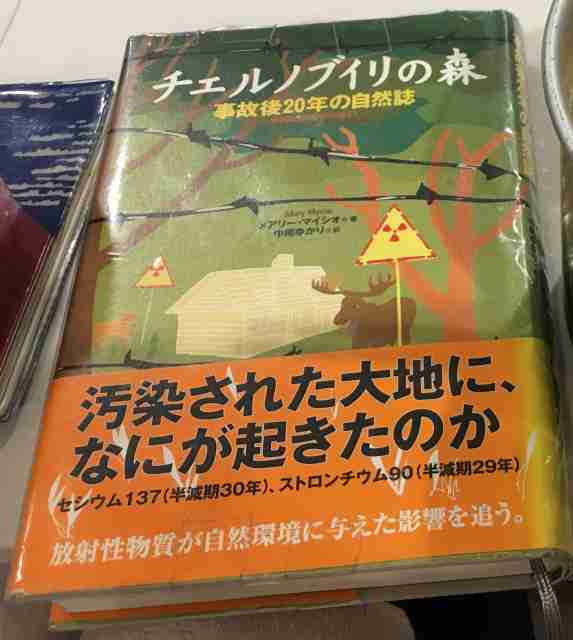 チェルノブイリ 事故