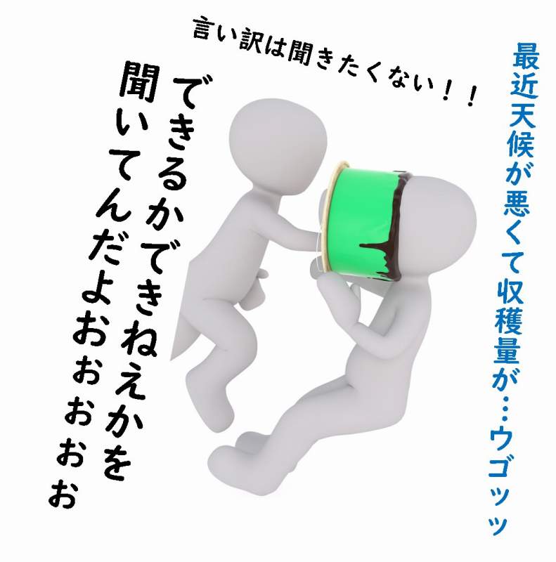ソ連 農業の集団化