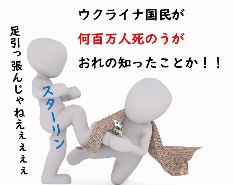 ソ連 農業の集団化