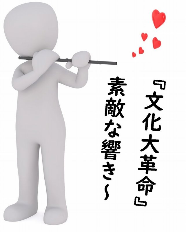 文化大革命 中国 毛沢東