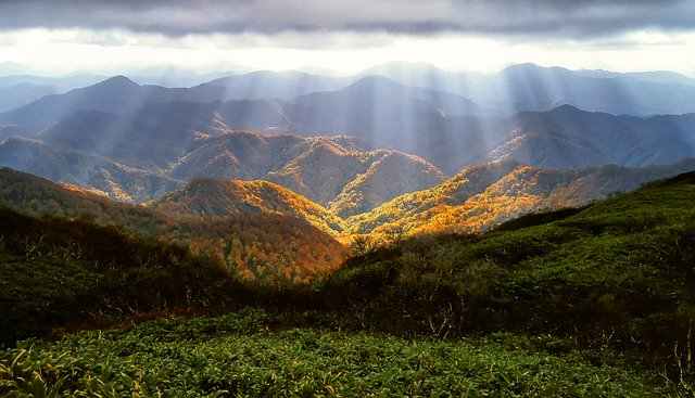 白神山地 世界遺産