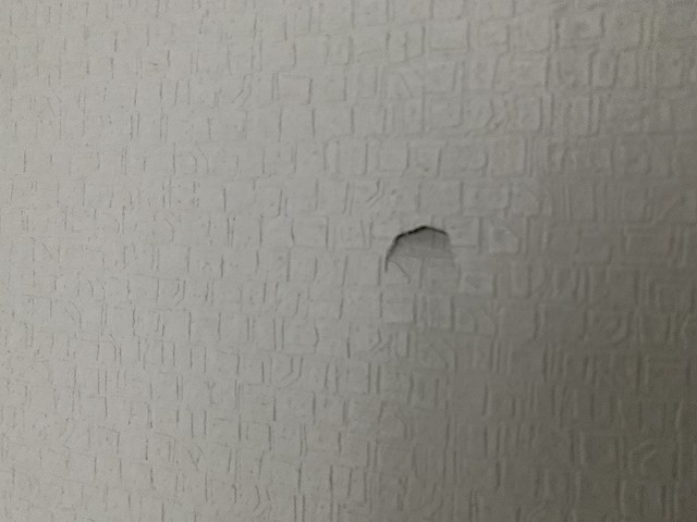 施主検査 持ち物 時間